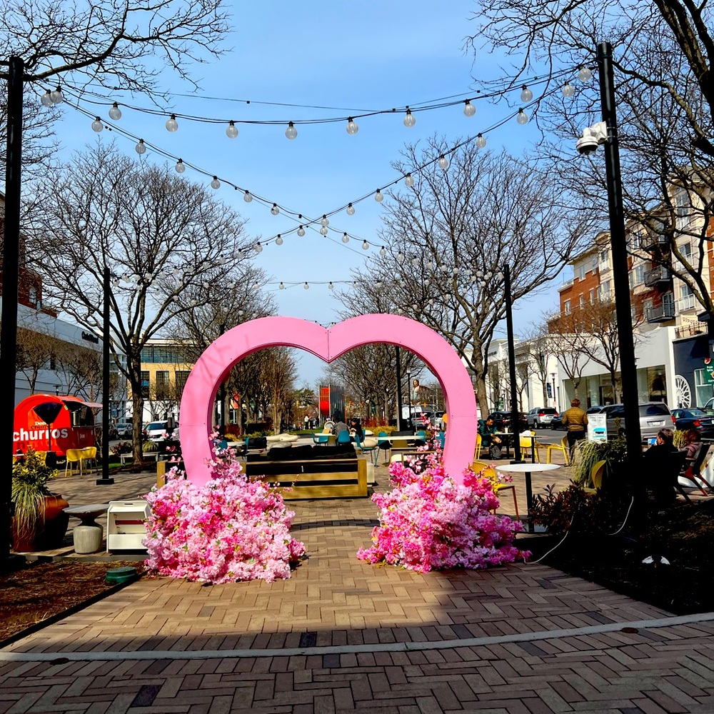 Meet your Posher, Rachel